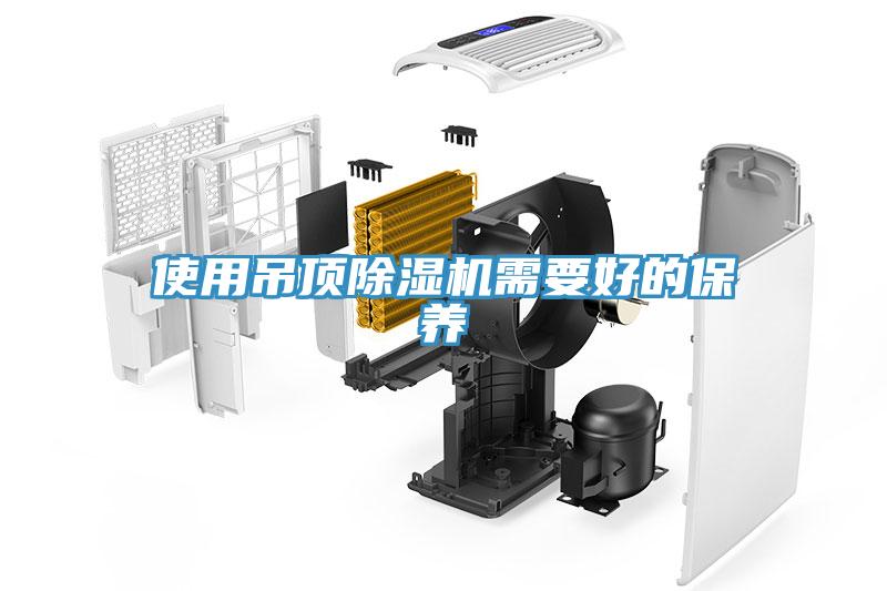 使用吊頂草莓污视频在线看需要好的保養