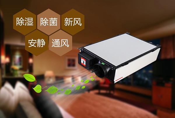 廈門草莓污视频在线看怎麽選？