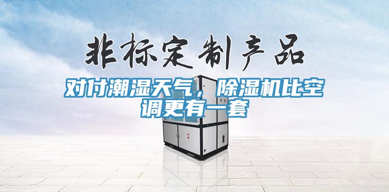 對付潮濕天氣，草莓污视频在线看比空調更有一套