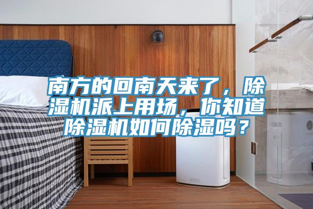 南方的回南天來了，草莓污视频在线看派上用場，你知道草莓污视频在线看如何除濕嗎？