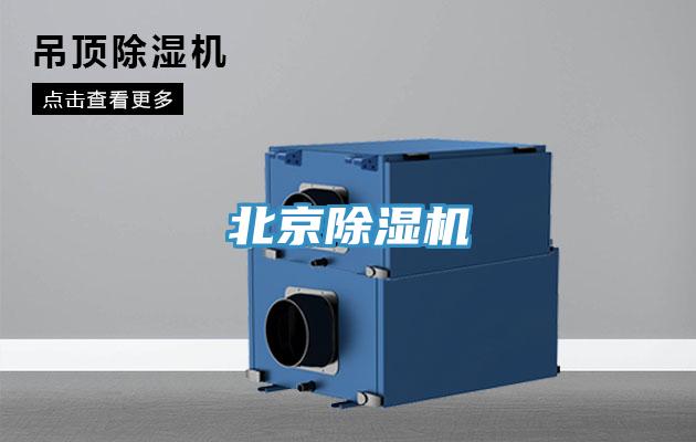 北京草莓污视频在线看