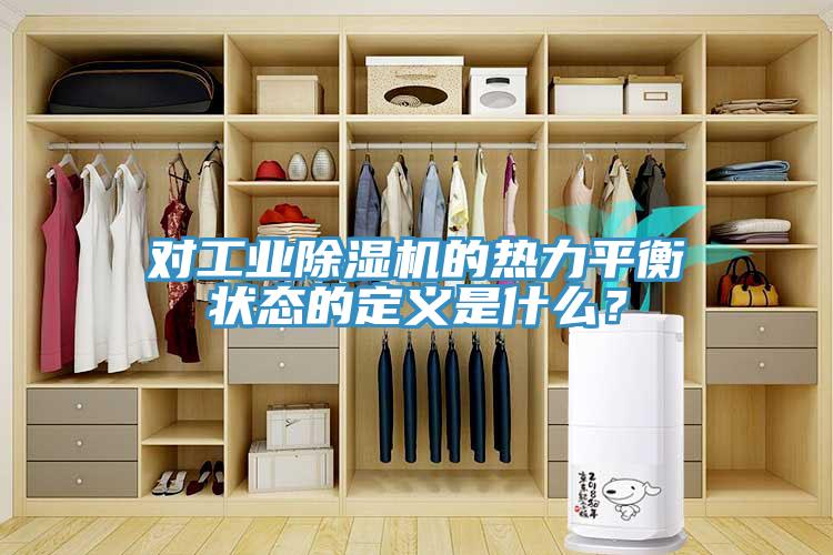 對工業草莓污视频在线看的熱力平衡狀態的定義是什麽？
