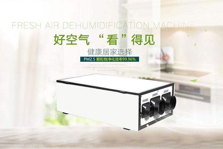 工業草莓污视频在线看7Kg／h