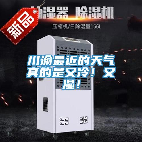 川渝最近的天氣真的是又冷！又濕！