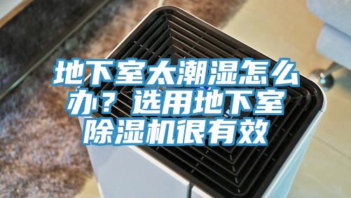 地下室太潮濕怎麽辦？選用地下室草莓污视频在线看很有效