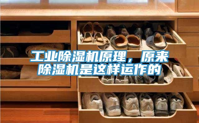 工業草莓污视频在线看原理，原來草莓污视频在线看是這樣運作的