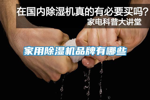 家用草莓污视频在线看品牌有哪些