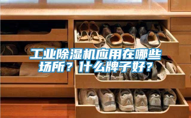 工業草莓污视频在线看應用在哪些場所？什麽牌子好？