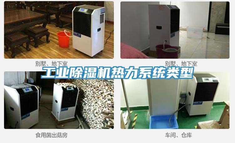 工業草莓污视频在线看熱力係統類型