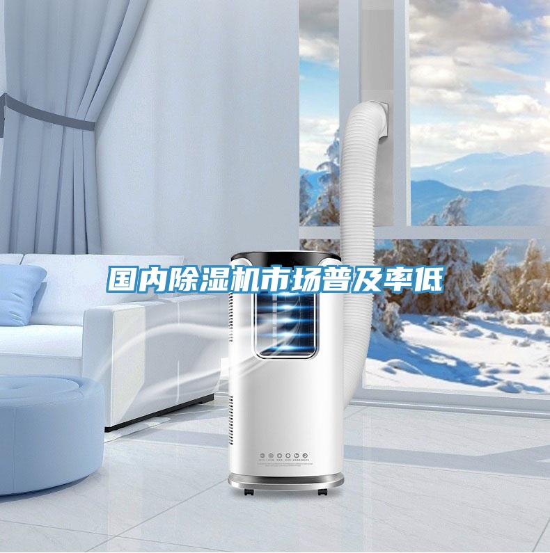 國內草莓污视频在线看市場普及率低