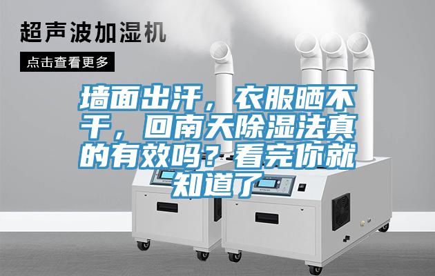 牆麵出汗，衣服曬不幹，回南天除濕法真的有效嗎？看完你就知道了