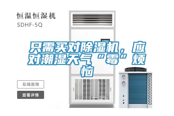 隻需買對草莓污视频在线看，應對潮濕天氣“黴”煩惱