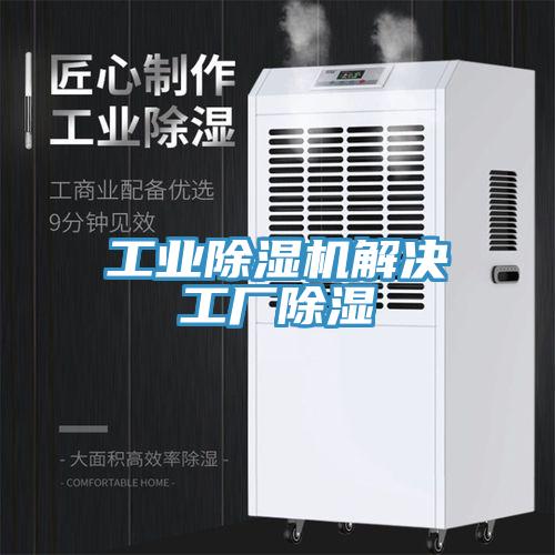 工業草莓污视频在线看解決工廠除濕