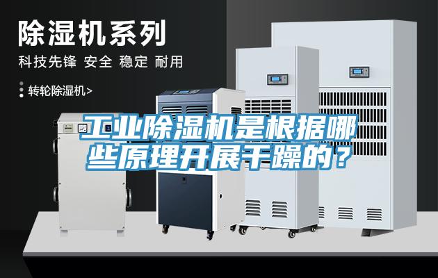 工業草莓污视频在线看是根據哪些原理開展幹躁的？