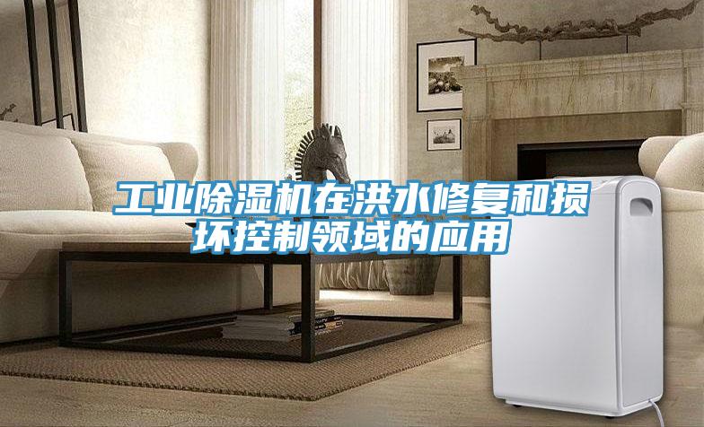 工業草莓污视频在线看在洪水修複和損壞控製領域的應用