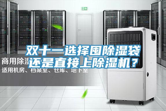 雙十一選擇囤除濕袋還是直接上草莓污视频在线看？