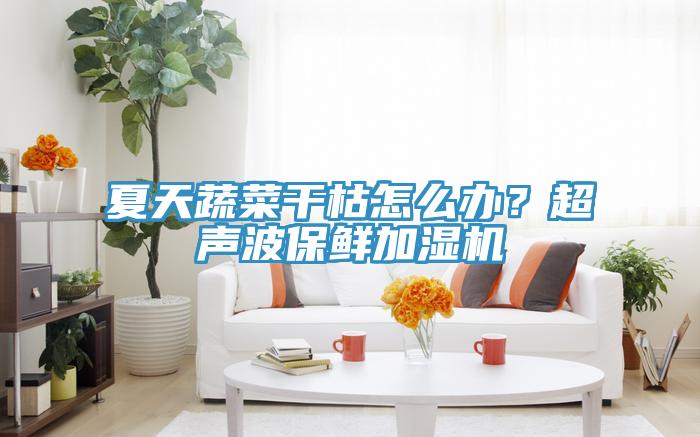 夏天蔬菜幹枯怎麽辦？超聲波保鮮加濕機