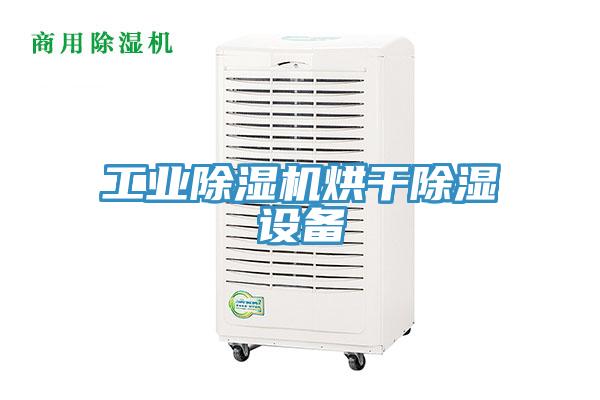工業草莓污视频在线看烘幹除濕設備
