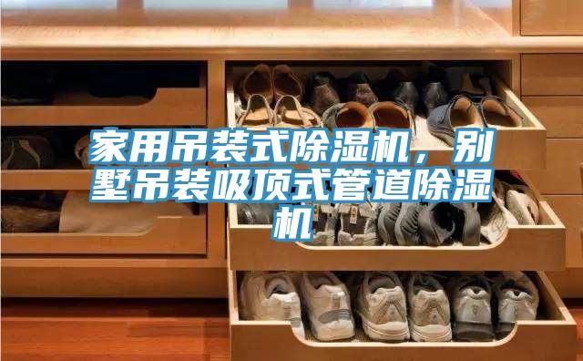 家用吊裝式草莓污视频在线看，別墅吊裝吸頂式管道草莓污视频在线看