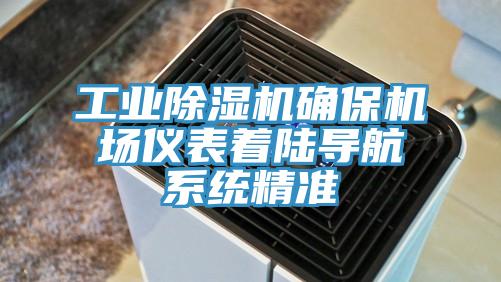 工業草莓污视频在线看確保機場儀表著陸導航係統精準