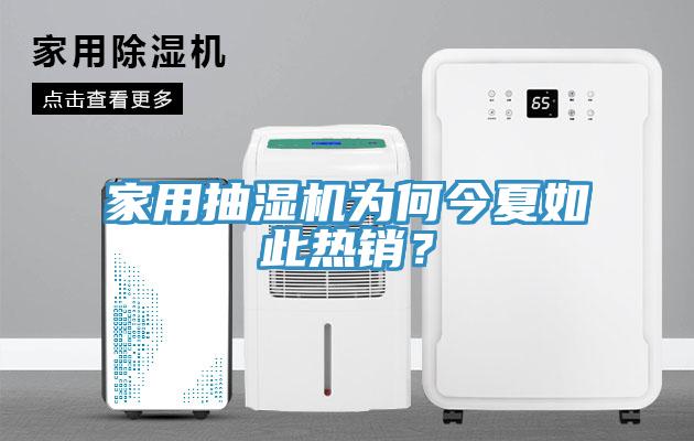 家用抽濕機為何今夏如此熱銷？