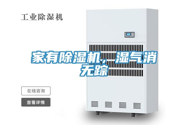 家有草莓污视频在线看，濕氣消無蹤