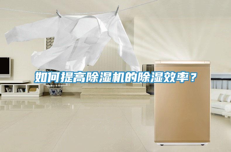 如何提高草莓污视频在线看的除濕效率？