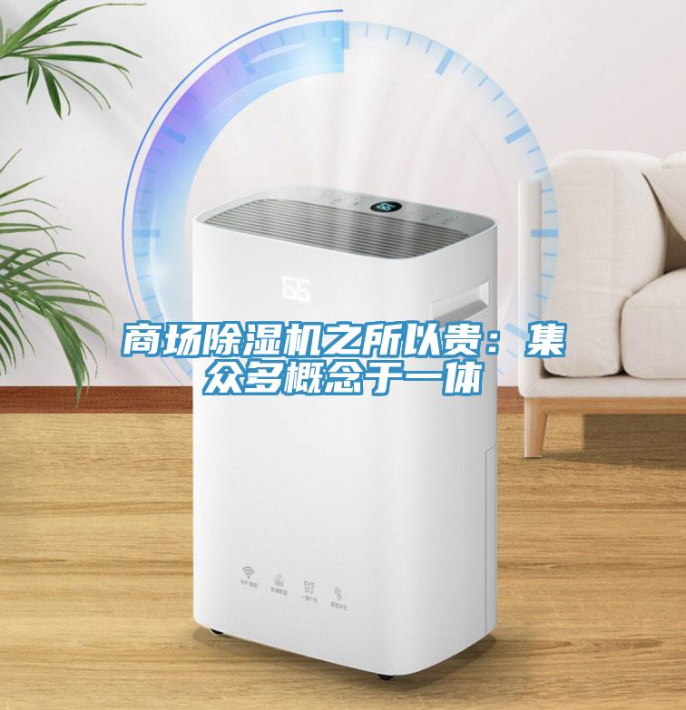 商場草莓污视频在线看之所以貴：集眾多概念於一體