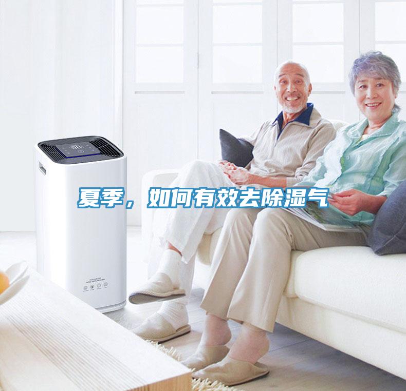 夏季，如何有效去除濕氣
