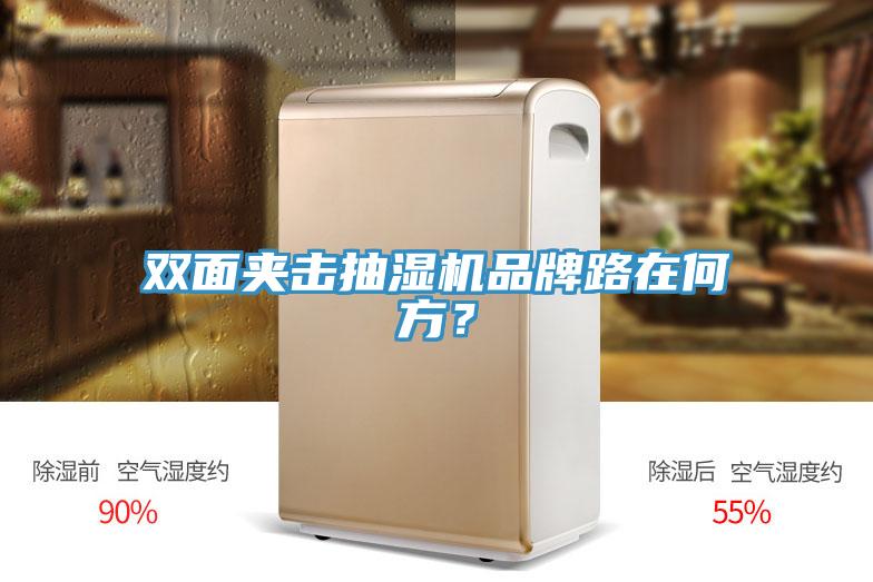 雙麵夾擊抽濕機品牌路在何方？