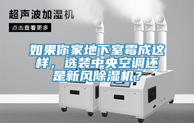 如果你家地下室黴成這樣，選裝中央空調還是新風草莓污视频在线看？