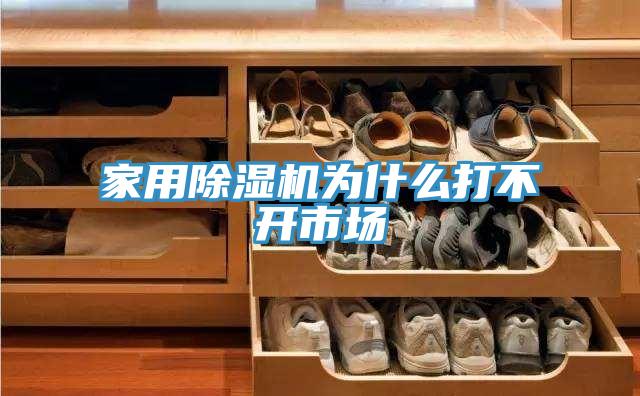 家用草莓污视频在线看為什麽打不開市場