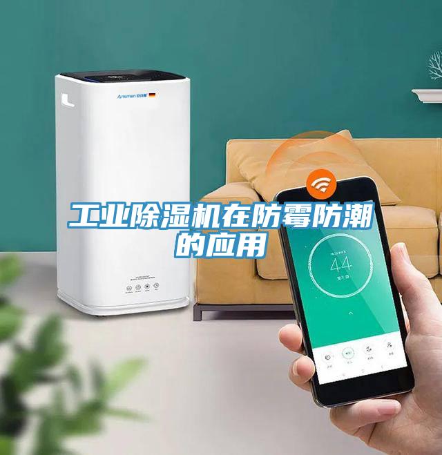 工業草莓污视频在线看在防黴防潮的應用