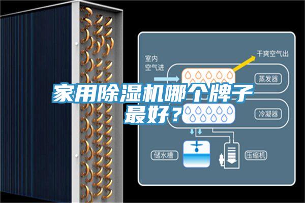 家用草莓污视频在线看哪個牌子最好？