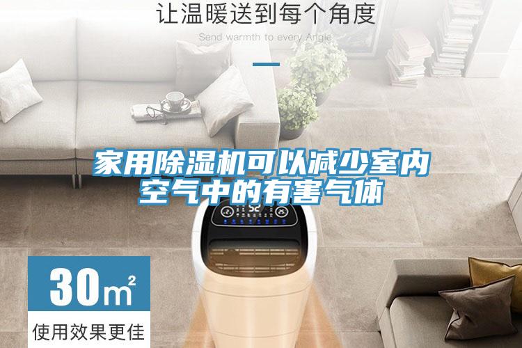 家用草莓污视频在线看可以減少室內空氣中的有害氣體