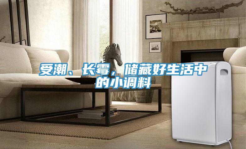 受潮、長黴，儲藏好生活中的小調料