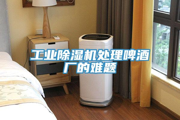工業草莓污视频在线看處理啤酒廠的難題