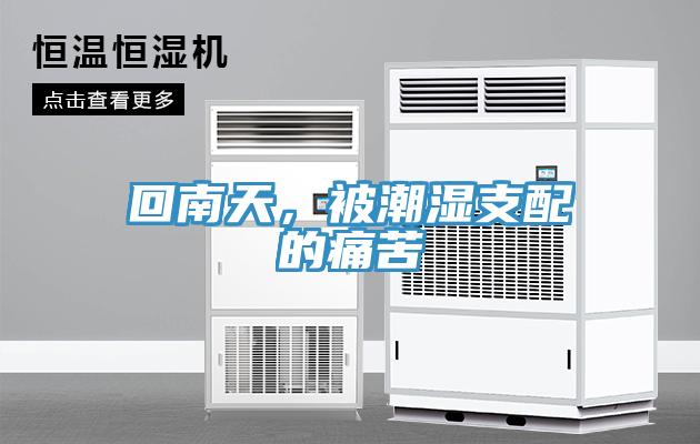 回南天，被潮濕支配的痛苦