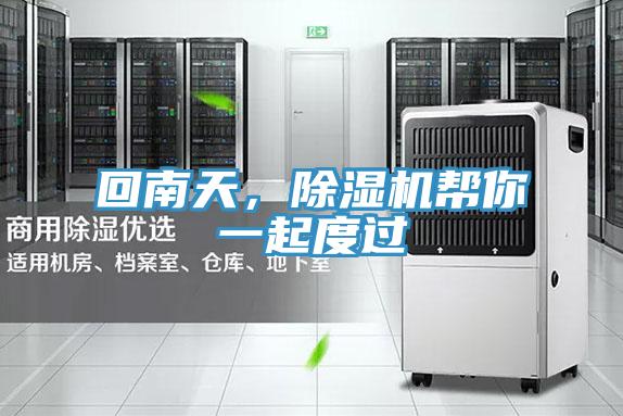 回南天，草莓污视频在线看幫你一起度過