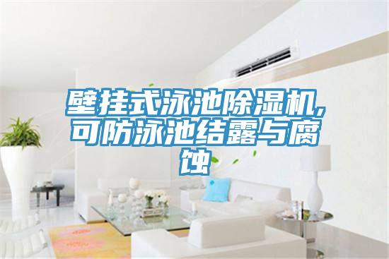 壁掛式泳池草莓污视频在线看,可防泳池結露與腐蝕