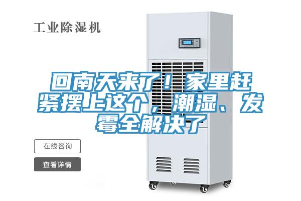 回南天來了！家裏趕緊擺上這個，潮濕、發黴全解決了
