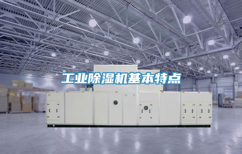 工業草莓污视频在线看基本特點