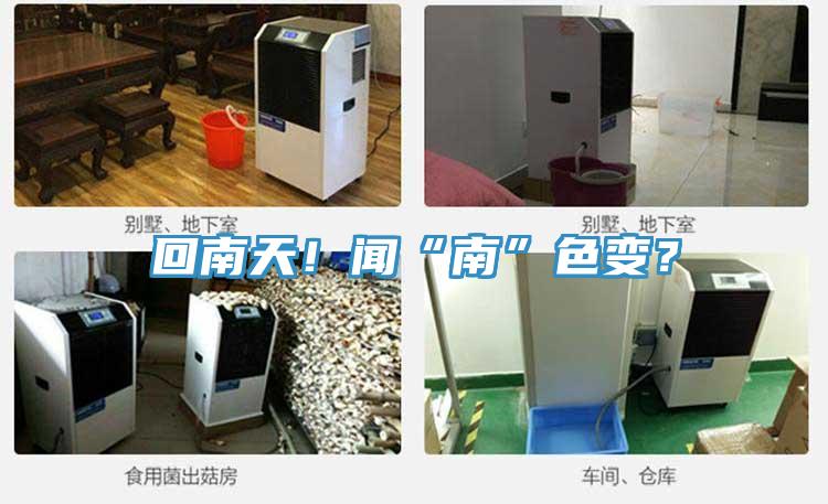 回南天！聞“南”色變？