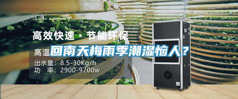 回南天梅雨季潮濕惱人？