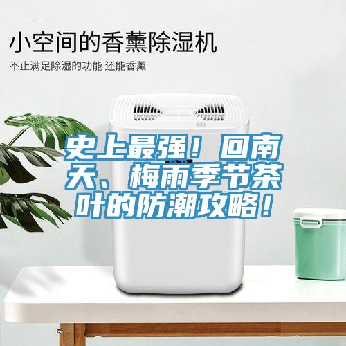 史上最強！回南天、梅雨季節茶葉的防潮攻略！