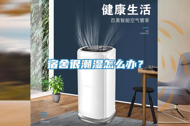 宿舍很潮濕怎麽辦？