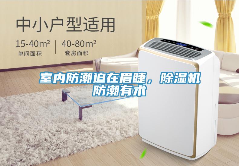 室內防潮迫在眉睫，草莓污视频在线看防潮有術