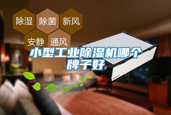 小型工業草莓污视频在线看哪個牌子好