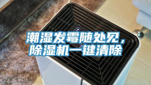 潮濕發黴隨處見，草莓污视频在线看一鍵清除