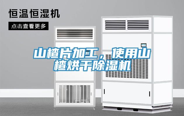 山楂片加工，使用山楂烘幹草莓污视频在线看